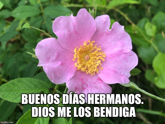BUENOS DÍAS HERMANOS. DIOS ME LOS BENDIGA | image tagged in president trump | made w/ Imgflip meme maker