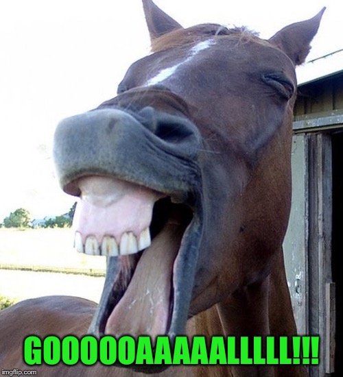 Funny Horse Face | GOOOOOAAAAALLLLL!!! | image tagged in funny horse face | made w/ Imgflip meme maker