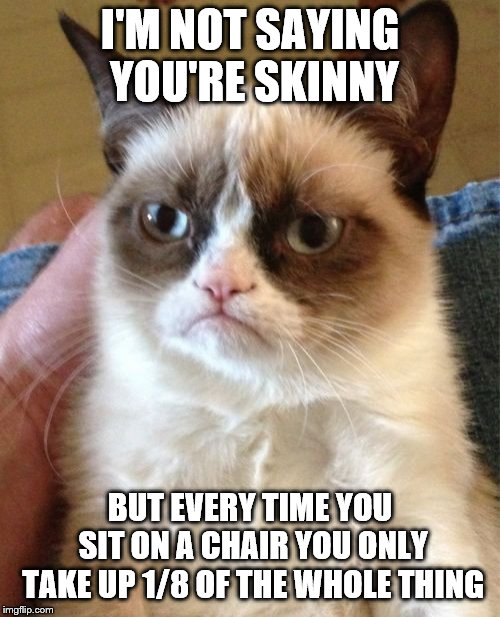 Grumpy Cat Meme | I'M NOT SAYING YOU'RE SKINNY; BUT EVERY TIME YOU SIT ON A CHAIR YOU ONLY TAKE UP 1/8 OF THE WHOLE THING | image tagged in memes,grumpy cat | made w/ Imgflip meme maker