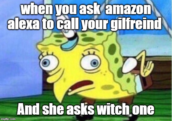 Mocking Spongebob Meme | when you ask  amazon alexa to call your gilfreind; And she asks witch one | image tagged in memes,mocking spongebob | made w/ Imgflip meme maker