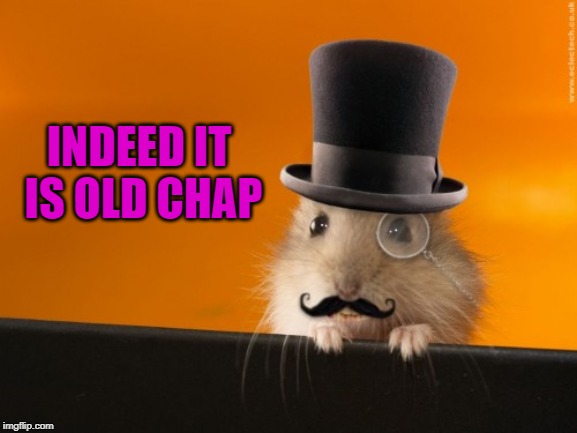 Indeed | INDEED IT IS OLD CHAP | image tagged in indeed | made w/ Imgflip meme maker