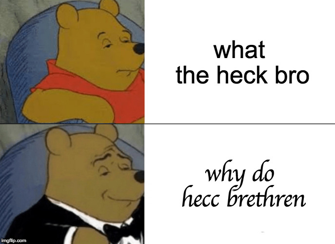 Tuxedo Winnie The Pooh | what the heck bro; why do hecc brethren | image tagged in memes,tuxedo winnie the pooh | made w/ Imgflip meme maker
