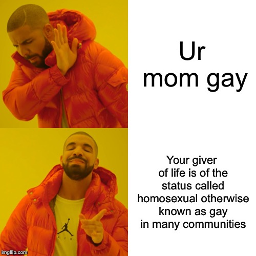 Drake Hotline Bling Meme | Ur mom gay; Your giver of life is of the status called homosexual otherwise known as gay in many communities | image tagged in memes,drake hotline bling | made w/ Imgflip meme maker