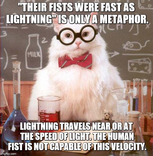 Science Cat | "THEIR FISTS WERE FAST AS LIGHTNING" IS ONLY A METAPHOR. LIGHTNING TRAVELS NEAR OR AT THE SPEED OF LIGHT. THE HUMAN FIST IS NOT CAPABLE OF T | image tagged in science cat | made w/ Imgflip meme maker