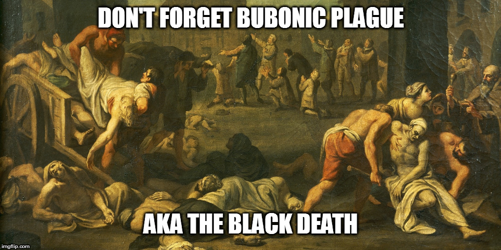 black-plague | DON'T FORGET BUBONIC PLAGUE AKA THE BLACK DEATH | image tagged in black-plague | made w/ Imgflip meme maker