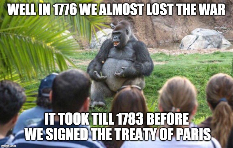 Gorilla lecture | WELL IN 1776 WE ALMOST LOST THE WAR IT TOOK TILL 1783 BEFORE WE SIGNED THE TREATY OF PARIS | image tagged in gorilla lecture | made w/ Imgflip meme maker