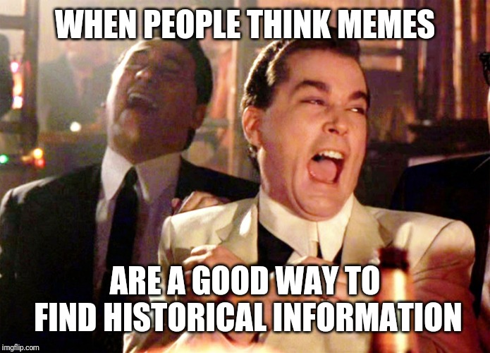Good Fellas Hilarious Meme | WHEN PEOPLE THINK MEMES; ARE A GOOD WAY TO FIND HISTORICAL INFORMATION | image tagged in memes,good fellas hilarious | made w/ Imgflip meme maker