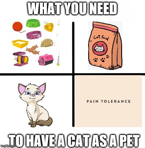 Blank Starter Pack Meme | WHAT YOU NEED; TO HAVE A CAT AS A PET | image tagged in memes,blank starter pack | made w/ Imgflip meme maker