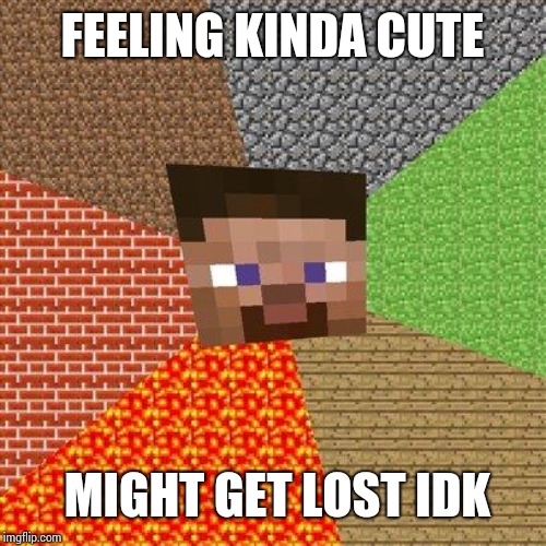 Minecraft Steve | FEELING KINDA CUTE MIGHT GET LOST IDK | image tagged in minecraft steve | made w/ Imgflip meme maker
