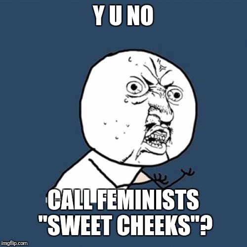 Y U No Meme | Y U NO CALL FEMINISTS "SWEET CHEEKS"? | image tagged in memes,y u no | made w/ Imgflip meme maker