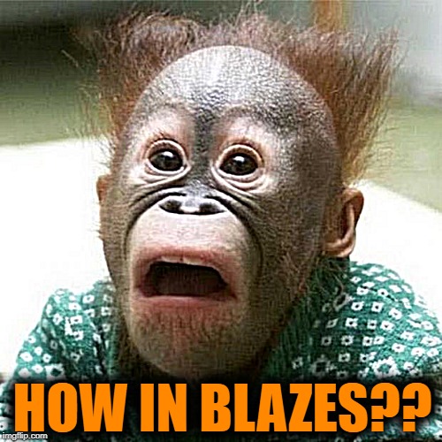 Shocked Monkey | HOW IN BLAZES?? | image tagged in shocked monkey | made w/ Imgflip meme maker