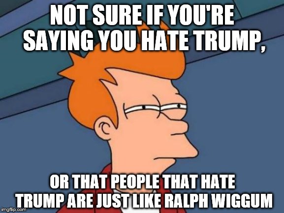 Futurama Fry Meme | NOT SURE IF YOU'RE SAYING YOU HATE TRUMP, OR THAT PEOPLE THAT HATE TRUMP ARE JUST LIKE RALPH WIGGUM | image tagged in memes,futurama fry | made w/ Imgflip meme maker