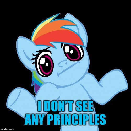 Pony Shrugs Meme | I DON’T SEE ANY PRINCIPLES | image tagged in memes,pony shrugs | made w/ Imgflip meme maker