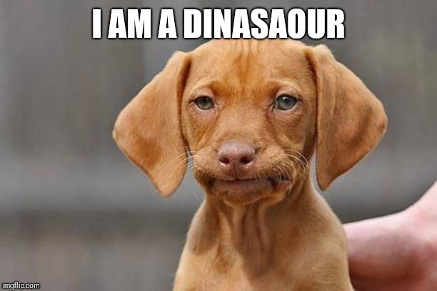 Dissapointed puppy | I AM A DINASAOUR | image tagged in dissapointed puppy | made w/ Imgflip meme maker