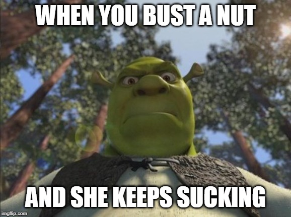 Swampy angry shrek | WHEN YOU BUST A NUT; AND SHE KEEPS SUCKING | image tagged in swampy angry shrek | made w/ Imgflip meme maker