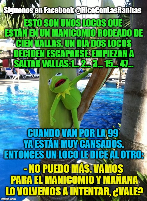 Kermit | ESTO SON UNOS LOCOS QUE ESTÁN EN UN MANICOMIO RODEADO DE CIEN VALLAS. UN DÍA DOS LOCOS DECIDEN ESCAPARSE. EMPIEZAN A SALTAR VALLAS:1... 2... 3... 15... 47... CUANDO VAN POR LA 99 YA ESTÁN MUY CANSADOS. ENTONCES UN LOCO LE DICE AL OTRO:; - NO PUEDO MÁS. VAMOS PARA EL MANICOMIO Y MAÑANA LO VOLVEMOS A INTENTAR, ¿VALE? | image tagged in kermit | made w/ Imgflip meme maker