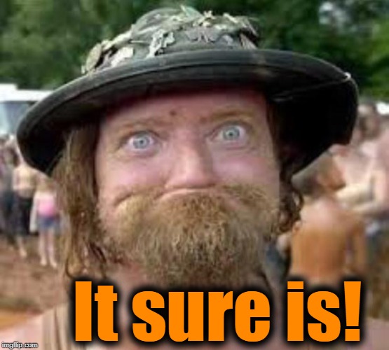 Hillbilly | It sure is! | image tagged in hillbilly | made w/ Imgflip meme maker