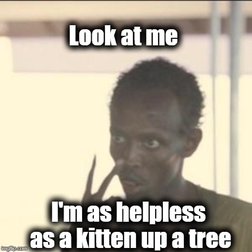 Anyone remember Johnny Mathis? | Look at me; I'm as helpless as a kitten up a tree | image tagged in memes,look at me | made w/ Imgflip meme maker