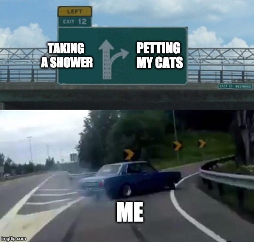 Easiest choice in the world. | TAKING A SHOWER; PETTING MY CATS; ME | image tagged in memes,left exit 12 off ramp,cats | made w/ Imgflip meme maker