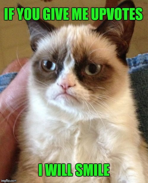 :) | IF YOU GIVE ME UPVOTES; I WILL SMILE | image tagged in memes,grumpy cat,upvotes | made w/ Imgflip meme maker