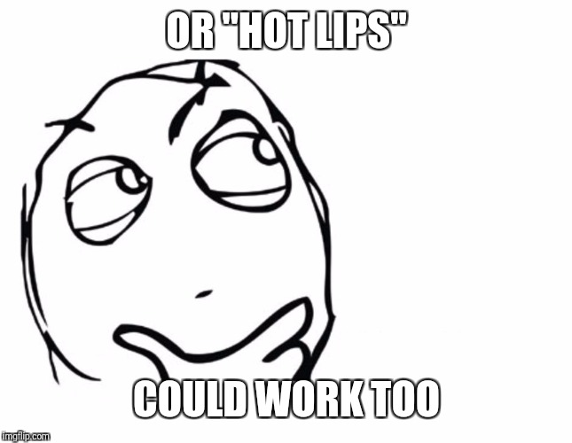 hmmm | OR "HOT LIPS" COULD WORK TOO | image tagged in hmmm | made w/ Imgflip meme maker