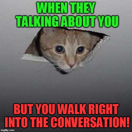 Ceiling Cat | WHEN THEY TALKING ABOUT YOU; BUT YOU WALK RIGHT INTO THE CONVERSATION! | image tagged in memes,ceiling cat | made w/ Imgflip meme maker