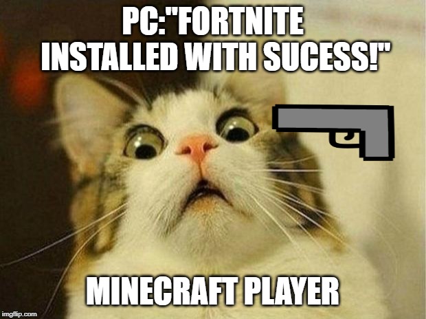 Scared Cat | PC:"FORTNITE INSTALLED WITH SUCESS!"; MINECRAFT PLAYER | image tagged in memes,scared cat | made w/ Imgflip meme maker