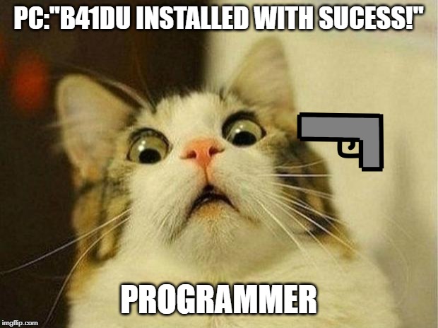Scared Cat | PC:"B41DU INSTALLED WITH SUCESS!"; PROGRAMMER | image tagged in memes,scared cat | made w/ Imgflip meme maker