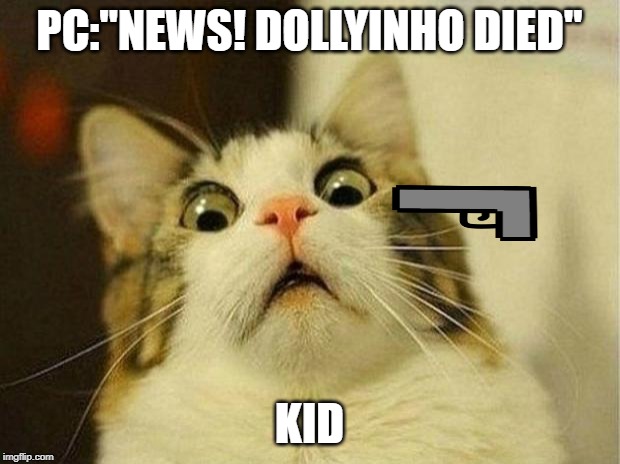 Scared Cat Meme | PC:"NEWS! DOLLYINHO DIED"; KID | image tagged in memes,scared cat | made w/ Imgflip meme maker