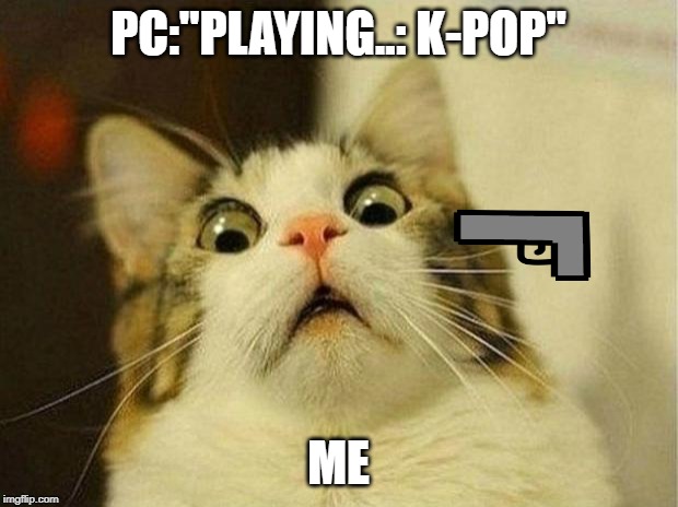 Scared Cat Meme | PC:"PLAYING..: K-POP"; ME | image tagged in memes,scared cat | made w/ Imgflip meme maker