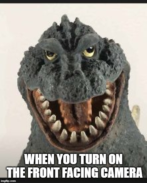 Godzilla is ugly? | WHEN YOU TURN ON THE FRONT FACING CAMERA | image tagged in godzilla,ugly,wtf | made w/ Imgflip meme maker