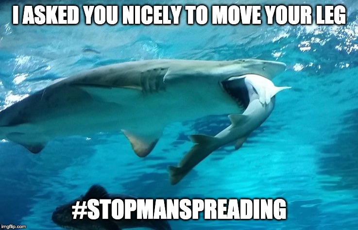 Female Aquarium Shark is my spirit animal. | I ASKED YOU NICELY TO MOVE YOUR LEG; #STOPMANSPREADING | image tagged in shark,etiquette | made w/ Imgflip meme maker