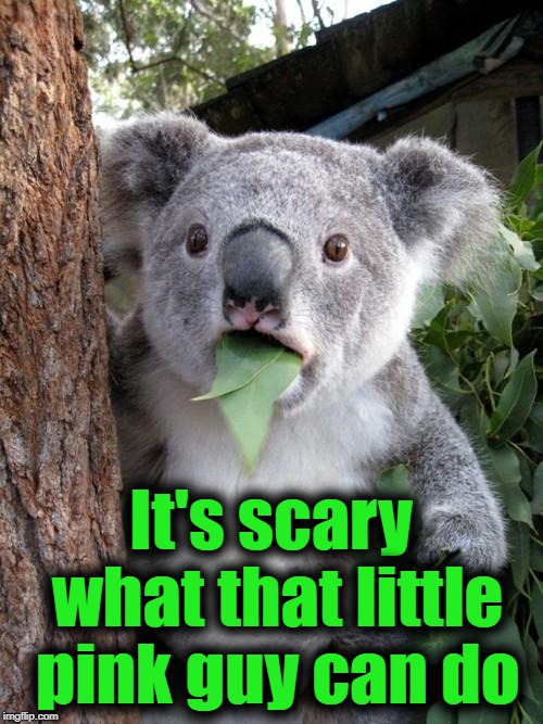 Surprised Koala Meme | It's scary what that little pink guy can do | image tagged in memes,surprised koala | made w/ Imgflip meme maker