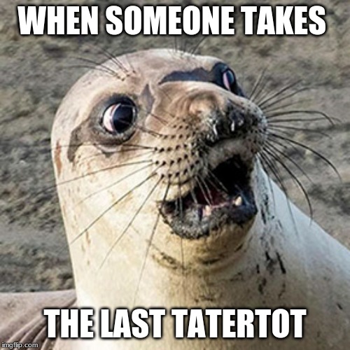 WHEN SOMEONE TAKES; THE LAST TATERTOT | image tagged in seal | made w/ Imgflip meme maker