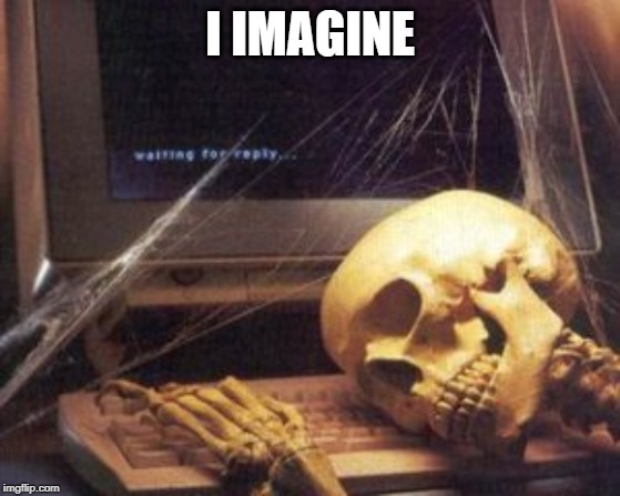 skeleton computer | I IMAGINE | image tagged in skeleton computer | made w/ Imgflip meme maker