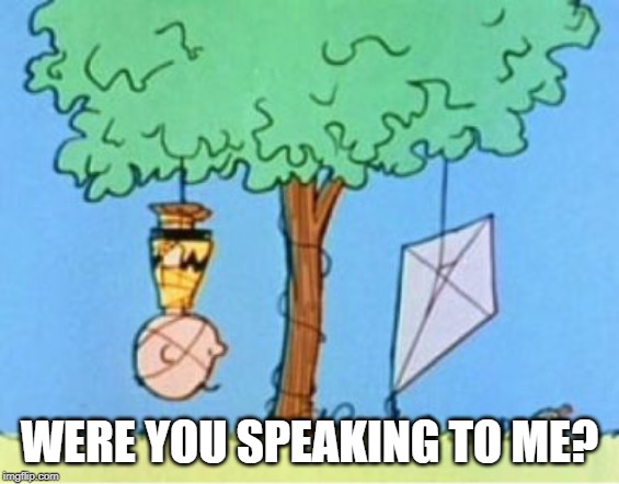 charlie brown kite eating tree | WERE YOU SPEAKING TO ME? | image tagged in charlie brown kite eating tree | made w/ Imgflip meme maker