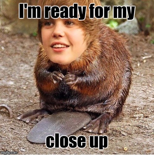 justin beaver | I'm ready for my close up | image tagged in justin beaver | made w/ Imgflip meme maker