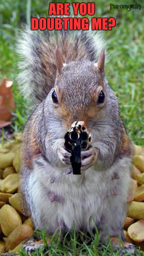 funny squirrels with guns (5) | ARE YOU DOUBTING ME? | image tagged in funny squirrels with guns 5 | made w/ Imgflip meme maker
