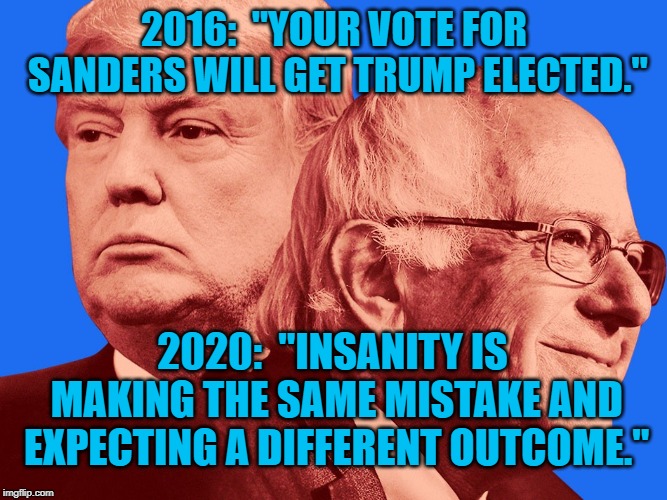 Trump and Sanders | 2016:  "YOUR VOTE FOR SANDERS WILL GET TRUMP ELECTED."; 2020:  "INSANITY IS MAKING THE SAME MISTAKE AND EXPECTING A DIFFERENT OUTCOME." | image tagged in politics | made w/ Imgflip meme maker