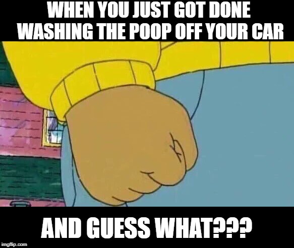 Grrrr! |  WHEN YOU JUST GOT DONE WASHING THE POOP OFF YOUR CAR; AND GUESS WHAT??? | image tagged in memes,arthur fist | made w/ Imgflip meme maker