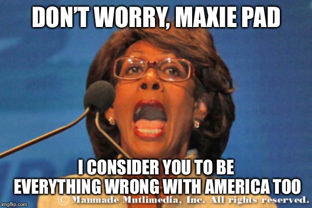 Maxine waters | DON’T WORRY, MAXIE PAD I CONSIDER YOU TO BE EVERYTHING WRONG WITH AMERICA TOO | image tagged in maxine waters | made w/ Imgflip meme maker