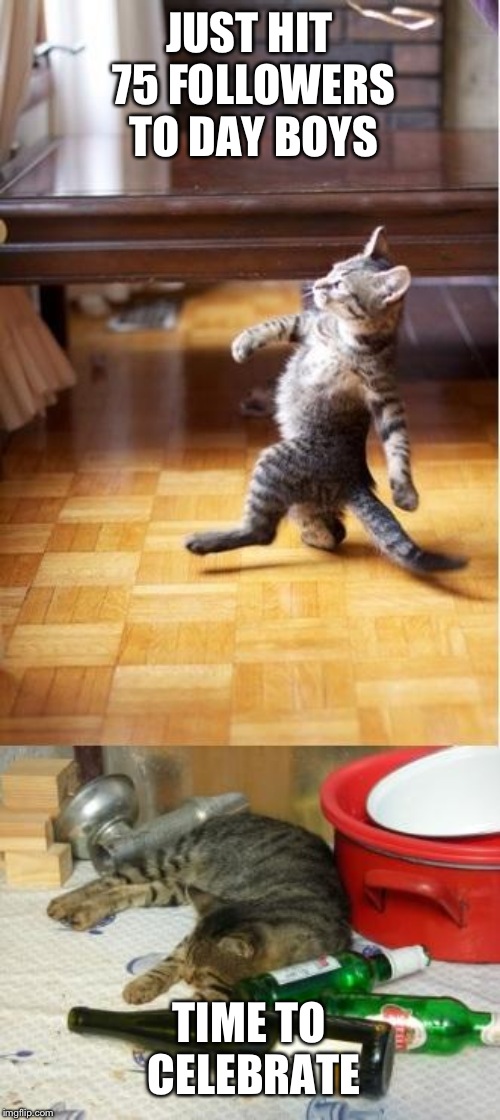 Party cat | JUST HIT 75 FOLLOWERS TO DAY BOYS; TIME TO CELEBRATE | image tagged in party cat | made w/ Imgflip meme maker