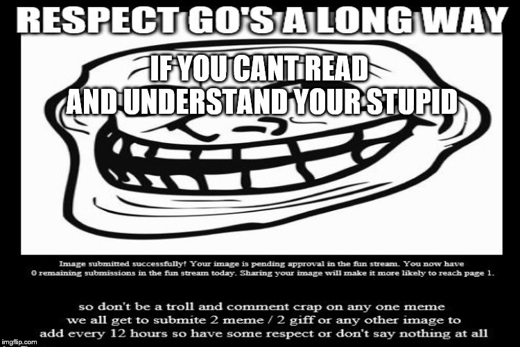 respect | IF YOU CANT READ AND UNDERSTAND YOUR STUPID | image tagged in getting respect giving respect,funny,meme,memes | made w/ Imgflip meme maker