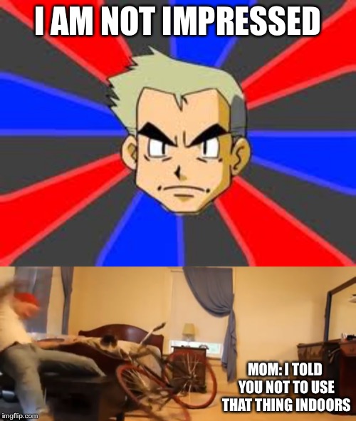 I AM NOT IMPRESSED; MOM: I TOLD YOU NOT TO USE THAT THING INDOORS | image tagged in memes,professor oak | made w/ Imgflip meme maker