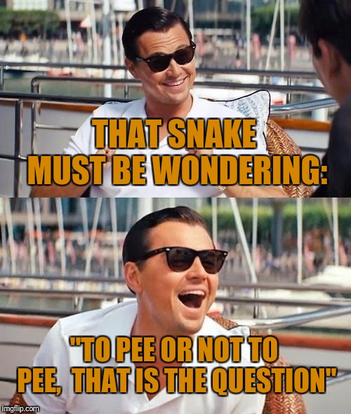 Leonardo Dicaprio Wolf Of Wall Street Meme | THAT SNAKE MUST BE WONDERING: "TO PEE OR NOT TO PEE,  THAT IS THE QUESTION" | image tagged in memes,leonardo dicaprio wolf of wall street | made w/ Imgflip meme maker