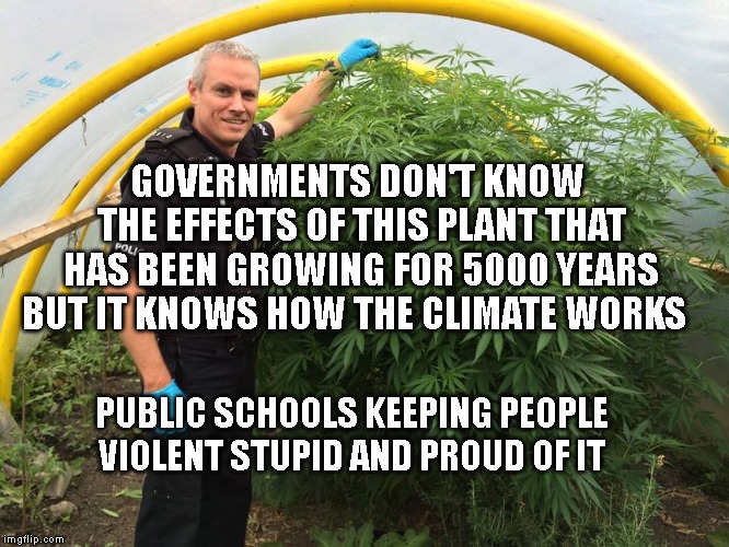 Police Weed Cannabis Stoned  | GOVERNMENTS DON'T KNOW THE EFFECTS OF THIS PLANT THAT HAS BEEN GROWING FOR 5000 YEARS BUT IT KNOWS HOW THE CLIMATE WORKS; PUBLIC SCHOOLS KEEPING PEOPLE VIOLENT STUPID AND PROUD OF IT | image tagged in police weed cannabis stoned | made w/ Imgflip meme maker