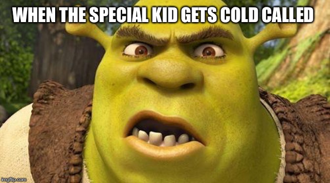 Shrek autism | WHEN THE SPECIAL KID GETS COLD CALLED | image tagged in shrek autism | made w/ Imgflip meme maker