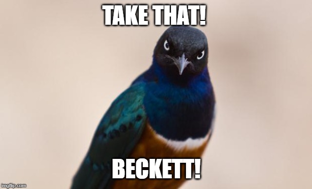 Evil Bird | TAKE THAT! BECKETT! | image tagged in evil bird | made w/ Imgflip meme maker