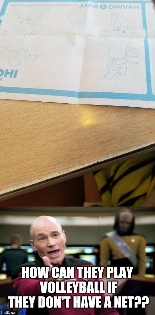 HOW CAN THEY PLAY VOLLEYBALL IF THEY DON'T HAVE A NET?? | image tagged in memes,picard wtf | made w/ Imgflip meme maker