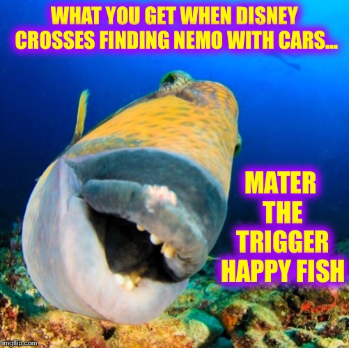 What do you get when you cross... | WHAT YOU GET WHEN DISNEY CROSSES FINDING NEMO WITH CARS... MATER THE TRIGGER HAPPY FISH | image tagged in disney,finding nemo,cars | made w/ Imgflip meme maker